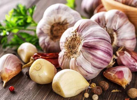 تصویر 2 از قیمت خرید سیر صادراتی همدان + فروش ویژه